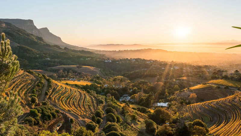 Cape Winelands is one of the top 10 wine travel destinations for 2020.