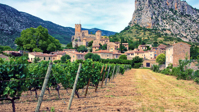 Languedoc-Roussillon is one of the top 10 wine travel destinations for 2020.