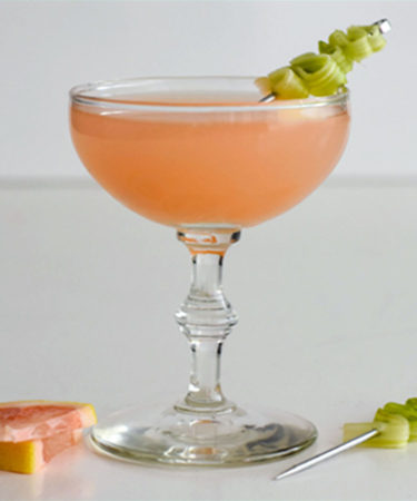 The Grapefruit Gin Martini Recipe Recipe