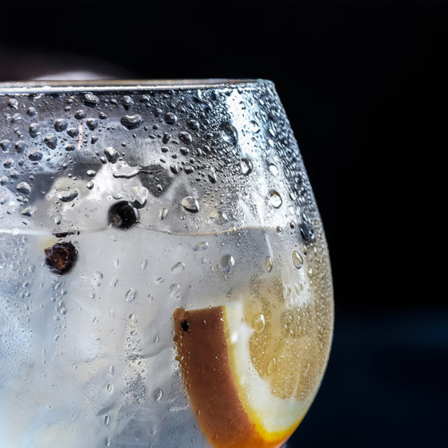 The 30 Best Gins for Every Budget (2020)