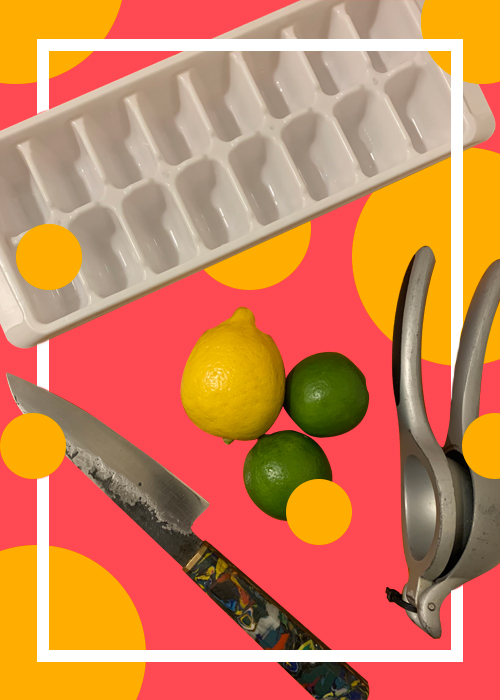 Citrus Juice Ice Cubes is a great home bar project
