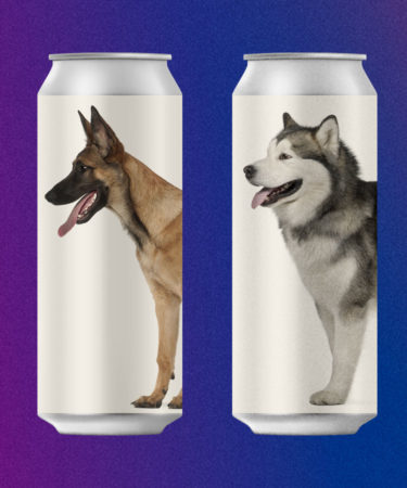 Foster a Dog From Midwest Animal Rescue, Get Free Busch Beer