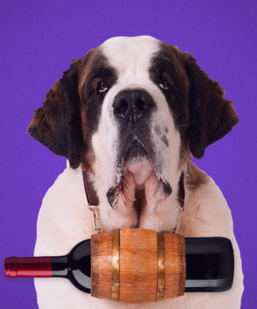 Heroic Dog Provides Curbside Wine Deliveries for a Maryland Winery
