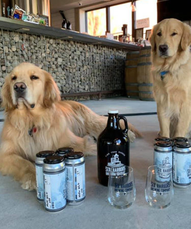 Meet the Two Dogs Delivering Beer and Smiles for This Long Island Craft Brewery