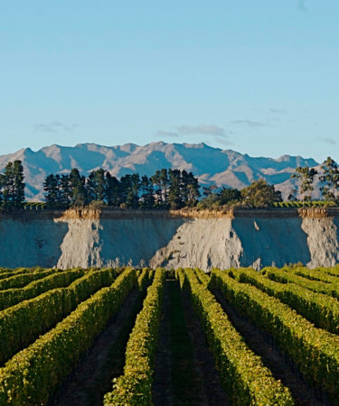 ‘Vintage’ Takes Wine Lovers Behind the Scenes of New Zealand’s Legendary Villa Maria