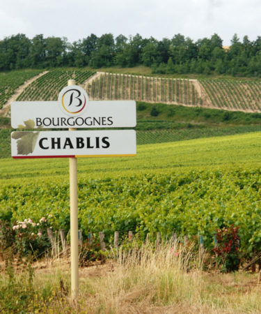This Is Why Sommeliers Love Chablis