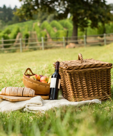 Everything You Need To Have A Wine & Cheese Picnic In Your Backyard