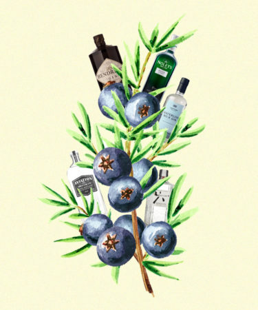 A Field Guide to New Western Dry Gin — From Balance to Botanicals to Brands