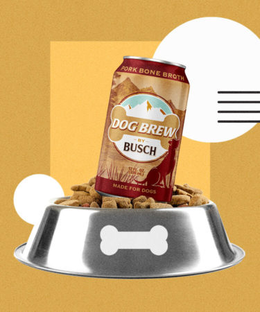 Busch Dog Brew Now Available for Happy Hour With Your Best Friend