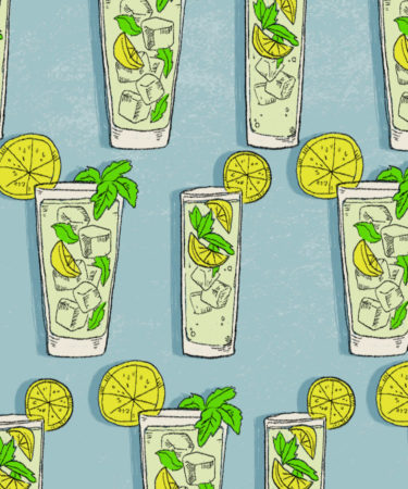 10 of the Best Summer Gin Highball Recipes