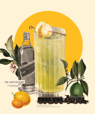 The History of the Ginger Highball Cocktail