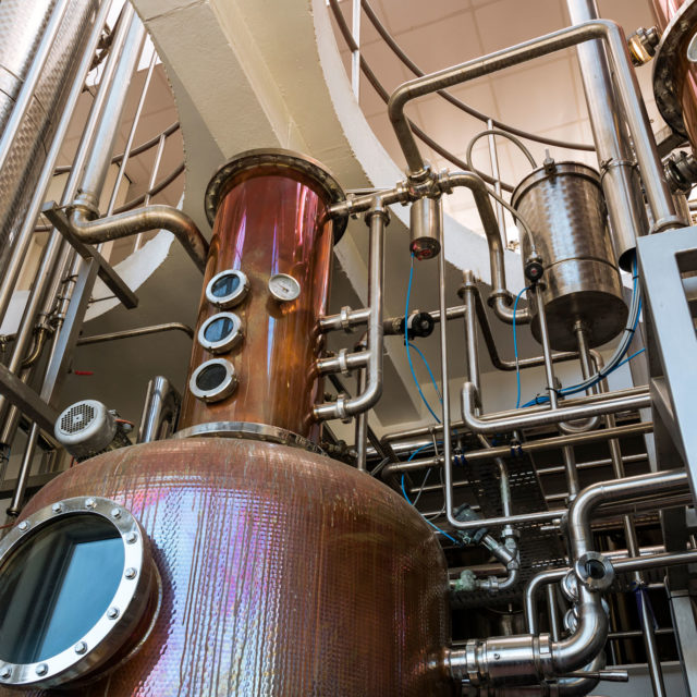 What’s Fueling the Rise of Scottish Gin?