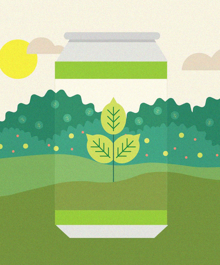 Breweries of All Sizes Can Embrace Sustainable Initiatives — Here’s How