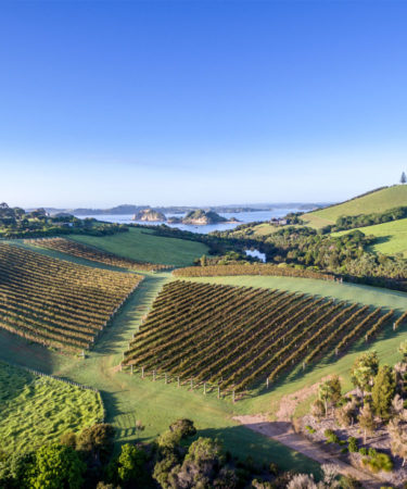 New Zealand Wine Week