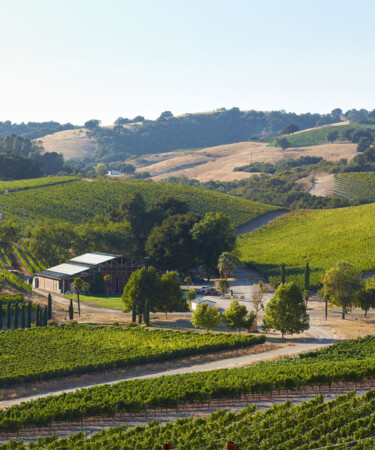How The Diversity of Grapes Sets Paso Robles Wines Apart