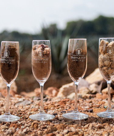 Tequila Ocho’s Jesse Estes Explores Terroir: A Journey with the World’s First Single-Field Tequila