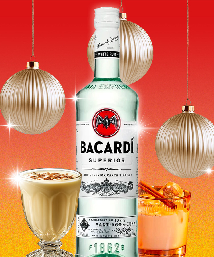 We Asked 9 Bartenders: Why Is BACARDÍ ® Rum the Best Rum for Your Holiday Menu?